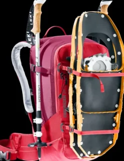 Freerider 28 SL