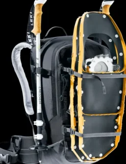 Freerider 28 SL