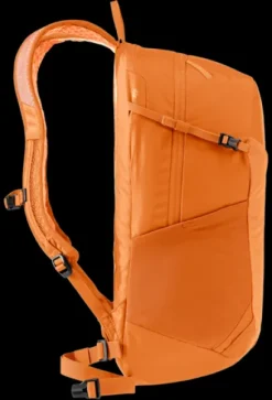 Speed Lite 21