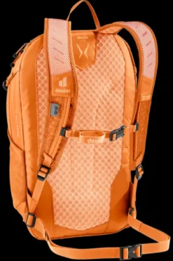 Speed Lite 21