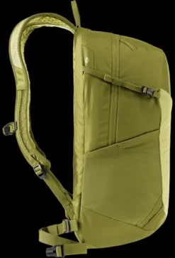 Speed Lite 21
