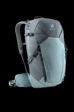 Speed Lite CV 25