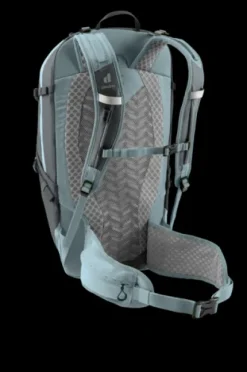Speed Lite CV 25